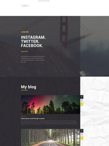 WordPress - WP3387