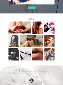 WordPress - WP3393