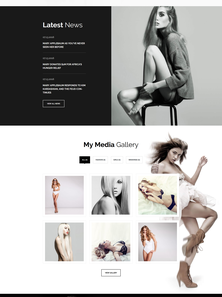 WordPress - WP3401
