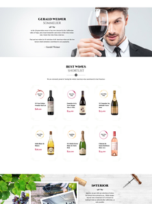 WordPress - WP3417