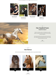 WordPress - WP3454