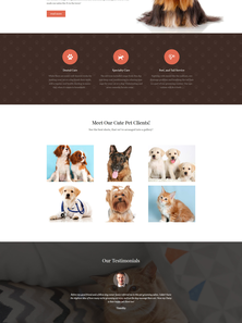 WordPress - WP3561
