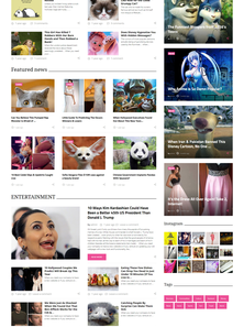 WordPress - WP3609