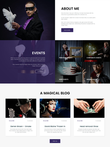 WordPress - WP3613