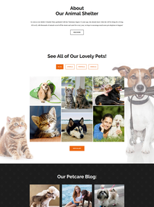 WordPress - WP3624