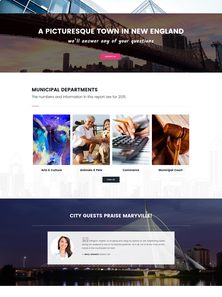 WordPress - WP3631
