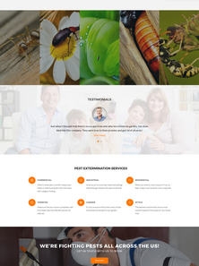 WordPress - WP3668
