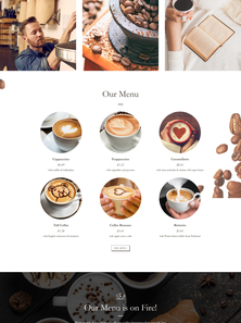 WordPress - WP3676