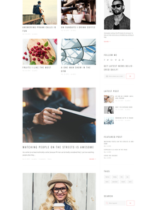 WordPress - WP3681