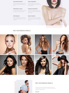 WordPress - WP3700