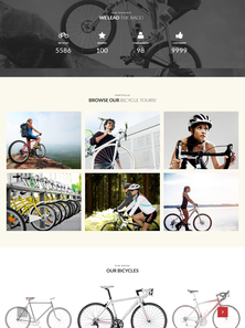 WordPress - WP3723