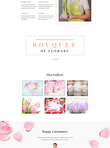 WordPress - WP3736