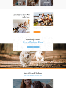 WordPress - WP3745