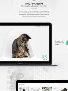 WordPress - WP3771