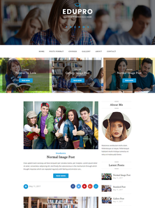 WordPress - WP3862