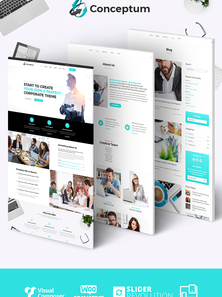 WordPress - WP3930