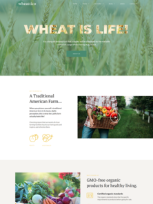 WordPress - WP4093