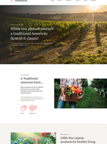WordPress - WP4113