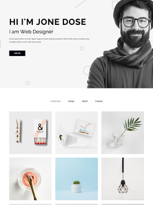 WordPress - WP4165