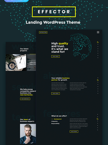 WordPress - WP4205