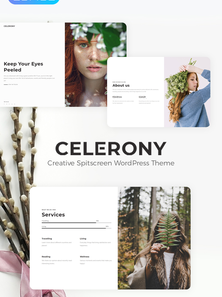 WordPress - WP4223