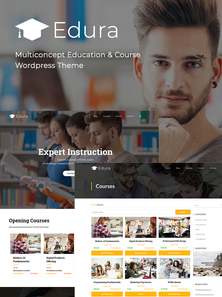WordPress - WP4242
