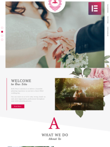 WordPress - WP4296