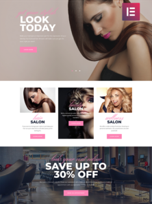 WordPress - WP4301