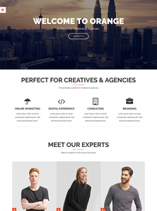 WordPress - WP4350