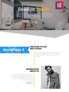 WordPress - WP4446