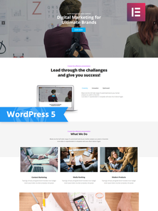 WordPress - WP4489
