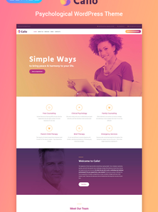 WordPress - WP4548