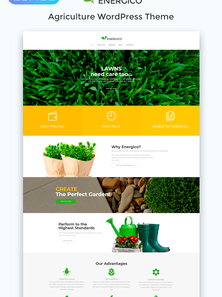 WordPress - WP4558