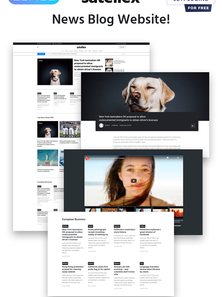 WordPress - WP4616
