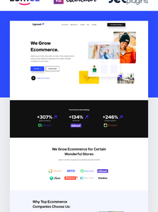 WordPress - WP4649
