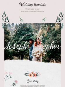 WordPress - WP4653