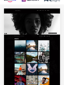 WordPress - WP4656