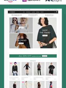 WordPress WooCommerce - W381