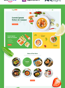 WordPress WooCommerce - W809