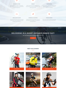 WordPress WooCommerce - W824