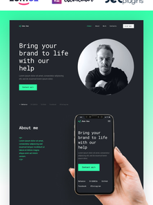 WordPress - WP4710