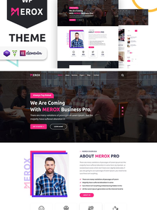 WordPress - WP4813