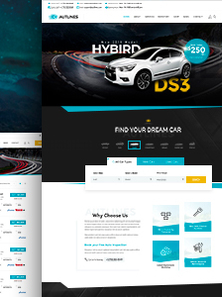 WordPress - WP15314