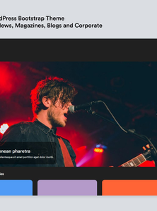 WordPress - WP17110