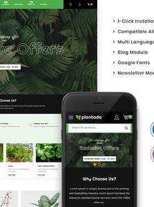 WordPress WooCommerce - W1110