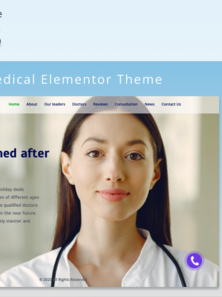 WordPress - WP17333