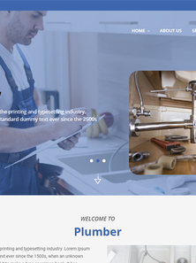 WordPress - WP17334