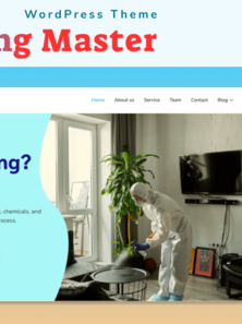 WordPress - WP17393