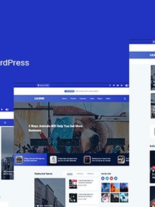 WordPress - WP17458