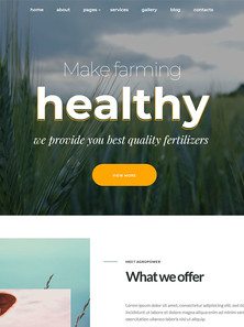WordPress - WP17475